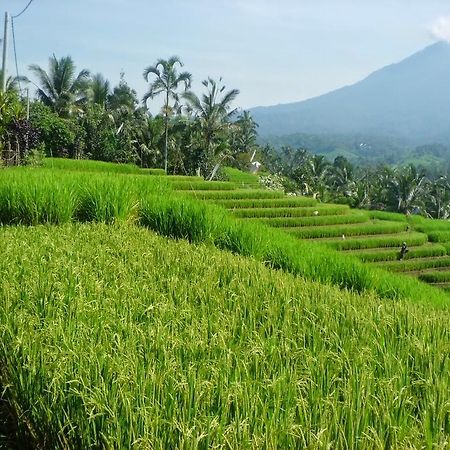 Zen Rooms Badung Nyangnyang Sari Kuta Lombok Kültér fotó